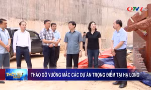 Tháo gỡ vướng mắc các dự án trọng điểm tại Hạ Long