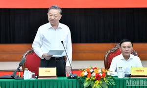 Tổng Bí thư Tô Lâm làm việc với Ban Tổ chức Trung ương