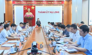 TP Hạ Long: Chuẩn bị kỹ lưỡng cho đại hội đảng bộ cấp xã
