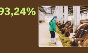 93,24% - là tỷ lệ chất thải chăn nuôi trên địa bàn tỉnh được thu gom và xử lý