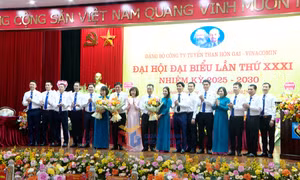 Đại hội Đại biểu Đảng bộ Công ty Tuyển than Hòn Gai nhiệm kỳ 2025-2030