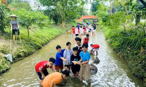 Sôi động, bổ ích không gian "chơi mà học" 