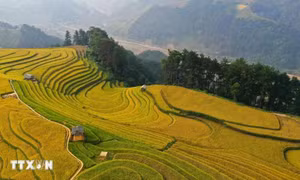 Báo Anh gợi ý 6 điểm đến tuyệt đẹp nhưng ít người biết ở Việt Nam