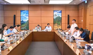 Tránh lạm dụng thanh tra, kiểm tra nhũng nhiễu doanh nghiệp