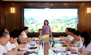 Đại hội đại biểu Đảng bộ các cơ quan Đảng tỉnh sẽ được tổ chức trong tháng 7/2025