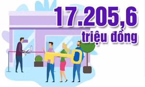 17.205,6 triệu đồng - là kinh phí thực hiện Đề án hỗ trợ nhà ở đối với người có công với cách mạng và thân nhân liệt sĩ trên địa bàn tỉnh trong năm 2025