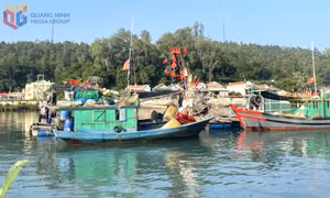 Thực hiện đợt cao điểm tuần tra, kiểm soát hoạt động khai thác thuỷ sản trên biển