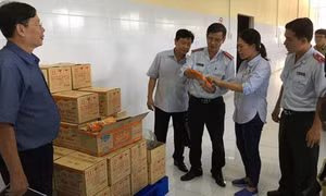 Lập 15 tổ kiểm tra về dược, mỹ phẩm, y dược cổ truyền, sữa, thực phẩm, thiết bị y tế