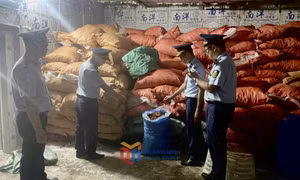 Bắt giữ gần 8 tấn chân gà không rõ nguồn gốc tại Móng Cái