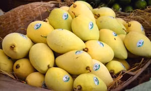 6 lợi ích ít được biết đến của xoài khi ăn vào mùa hè