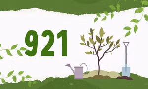 921 - là số hộ gia đình, cá nhân đã được thụ hưởng chính sách khuyến khích phát triển rừng trồng sản xuất cây gỗ lớn, cây bản địa