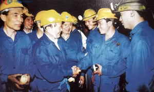 Tiếc thương đồng chí nguyên Chủ tịch nước Trần Đức Lương 