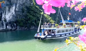Tạo môi trường du lịch văn minh, an toàn, thân thiện