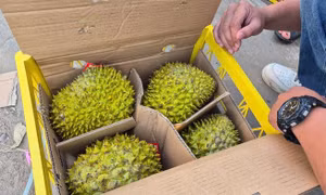 Sầu riêng vừa đón tin vui từ Trung Quốc