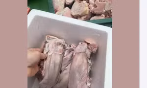 Nội tạng heo, bò bán tràn lan trên mạng giá siêu rẻ