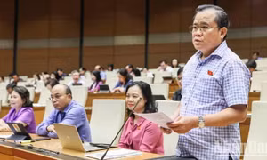 Bổ sung quy định về trách nhiệm cá nhân để tăng cường hiệu lực thực thi bản án hành chính