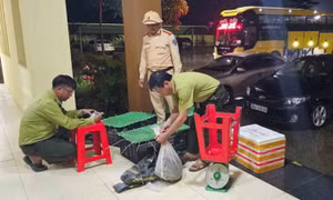 Bắt giữ vụ vận chuyển động vật hoang dã trái phép ở Hà Tĩnh