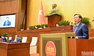 Kinh tế-xã hội phục hồi tích cực, tiếp tục tạo nền tảng cho tăng trưởng bền vững