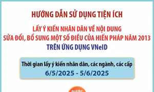 Hướng dẫn 5 bước lấy ý kiến sửa đổi Hiến pháp năm 2013 trên VNeID