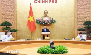 Đề xuất không bầu Chủ tịch, Phó Chủ tịch HĐND, UBND khi kiện toàn bộ máy