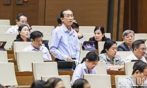 Đại biểu Quốc hội: Đừng để “tiền trong két mà lãi vay vẫn phải trả”