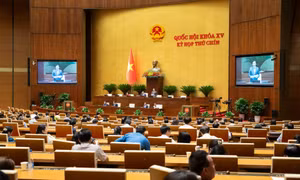 Bảo đảm xét xử, điều tra, truy tố không lọt người, không lọt tội