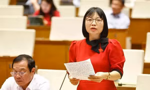 Quốc hội tiếp tục thảo luận chính sách đặc thù phát triển nhà ở xã hội