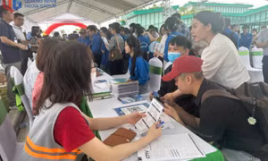 Gần 1.000 học sinh, sinh viên và người lao động tham gia Ngày hội việc làm năm 2025