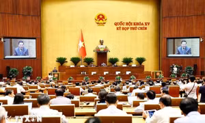 Đề xuất bỏ hình phạt tử hình với tội danh tham ô tài sản và nhận hối lộ