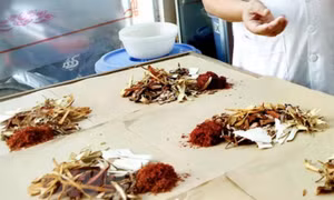 Xử lý nghiêm cơ sở kinh doanh dược liệu, thuốc cổ truyền không rõ nguồn gốc