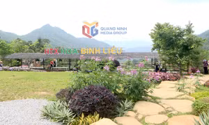 Bình Liêu: Sẵn sàng cao điểm du lịch hè