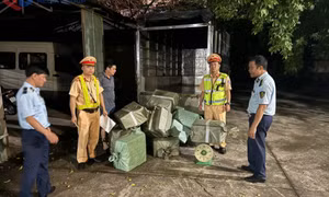 Tạm giữ 300 kg lòng lợn khô không rõ nguồn gốc