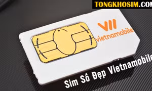 Sim Vietnamobile số đẹp – Lựa chọn tối ưu cho người dùng yêu sự đơn giản và hiệu quả
