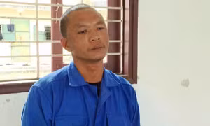 Tạm giữ hình sự đối tượng có hành vi cố ý làm hư hỏng Bảo vật quốc gia
