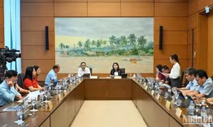 Đại biểu Quốc hội kiến nghị cần có cuộc “đại phẫu” về thể chế