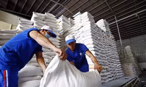 Đề xuất quy định mới về kinh doanh xuất khẩu gạo