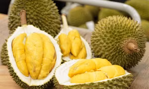 Thủ tướng Chính phủ chỉ đạo thúc đẩy sản xuất và xuất khẩu sầu riêng bền vững