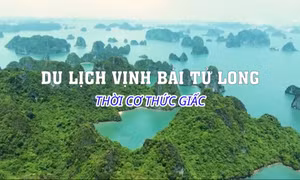 Du lịch vịnh Bái Tử Long - Thời cơ thức giấc