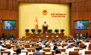 Nội dung chính của tuần làm việc thứ 2, Kỳ họp thứ 9, Quốc hội khóa XV