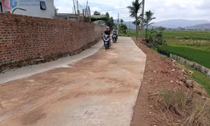 Kịp thời giải quyết kiến nghị cấp thiết của cử tri