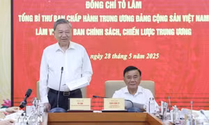 'Tạo sự kết nối hiệu quả hơn giữa thị trường vàng trong nước và quốc tế'