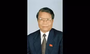 Tóm tắt tiểu sử nguyên Chủ tịch nước Trần Đức Lương
