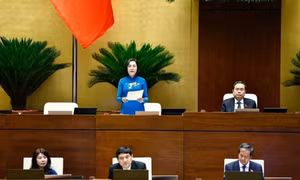 Họp Quốc hội: Giáo viên dạy thêm không sai trái, quan trọng là chống tiêu cực