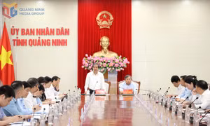 Khảo sát công tác quản lý giáo dục khi thực hiện sắp xếp tổ chức, bộ máy
