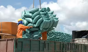 Xuất nhập khẩu: Bước nhảy vọt sau hơn hai thập kỷ