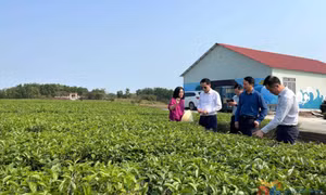 Đảng bộ Sở KH&CN: Mở đường cho những đột phá của nhiệm kỳ mới