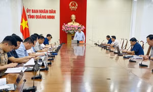 UBND tỉnh nghe tiến độ cấp phép và giao khu vực biển nuôi thủy sản