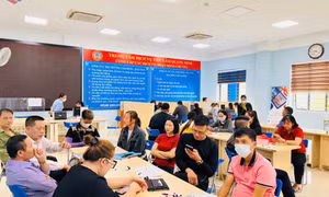 Để sàn giao dịch việc làm hoạt động hiệu quả