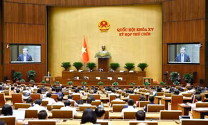 Thông qua Nghị quyết về việc sửa đổi, bổ sung một số điều của Hiến pháp 2013