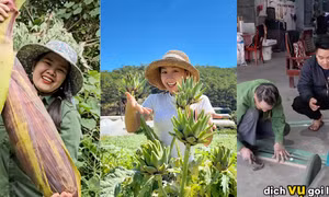 Hàng Việt liệu có đủ sức cạnh tranh trên sàn thương mại điện tử?